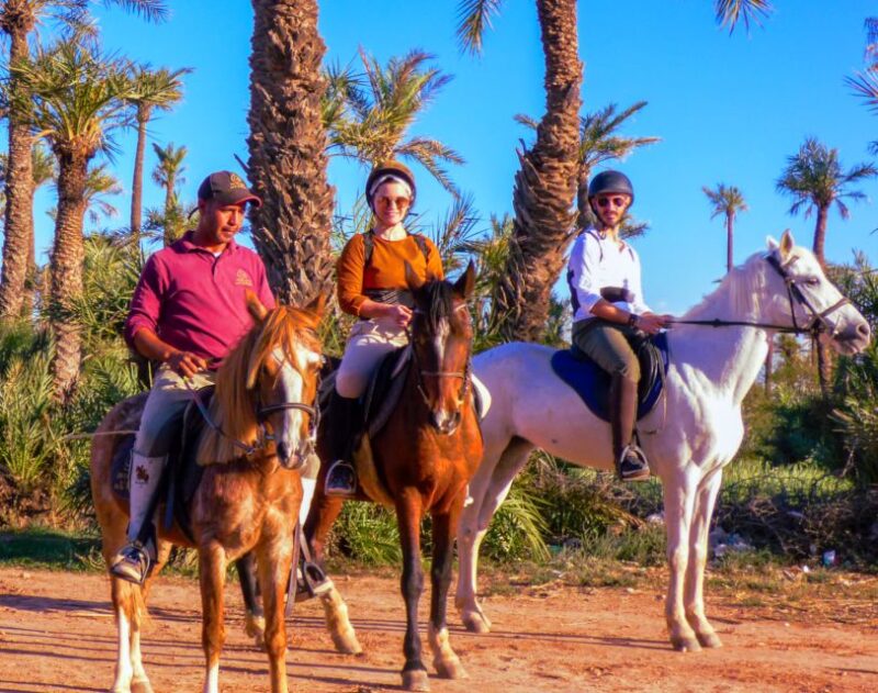 Marrakech: Palm Grove Horseback Riding Tour - Customer Ratings and Feedback