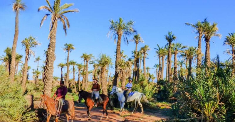 Marrakech: Palm Grove Horseback Riding Tour - Exploring the Palmeraie