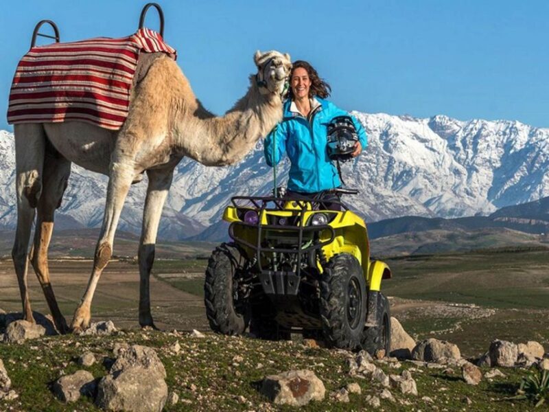 Marrakech Palmeraie : 3-Hour Quad Bike & Camel Ride - Transportation and Pickup Logistics