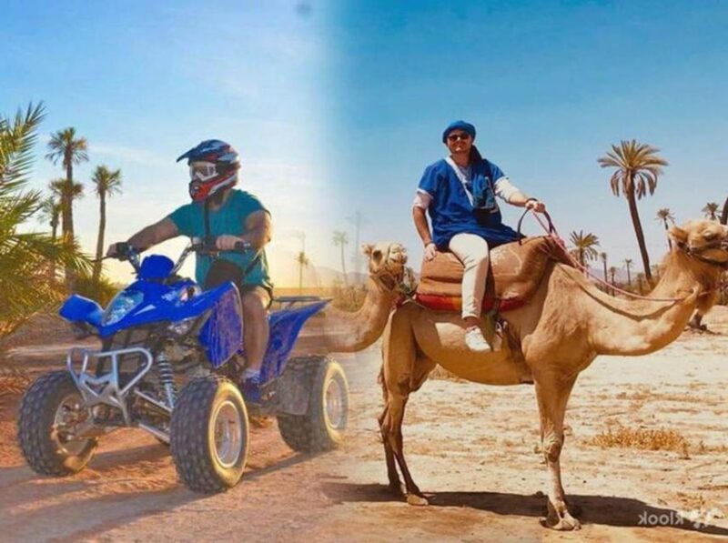 Marrakech Palmeraie : 3-Hour Quad Bike & Camel Ride - Camel Ride Through Palm Groves