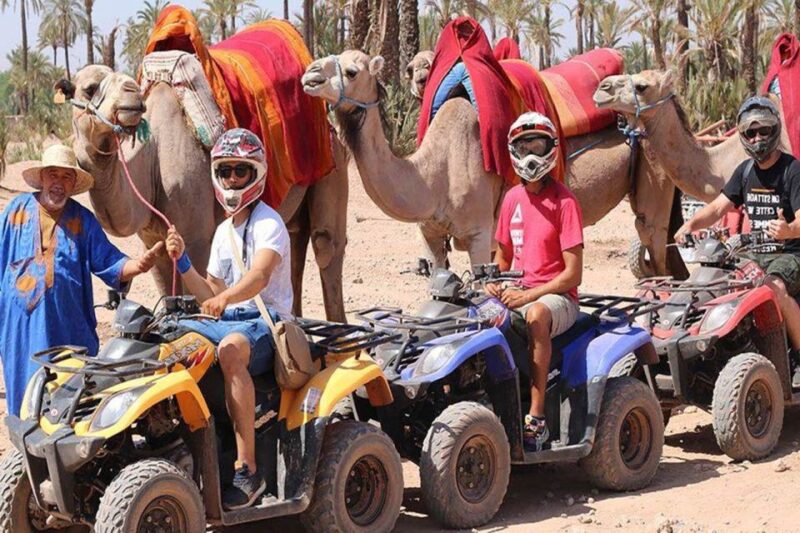 Marrakech Palmeraie : 3-Hour Quad Bike & Camel Ride - Exploring Local Culture and History