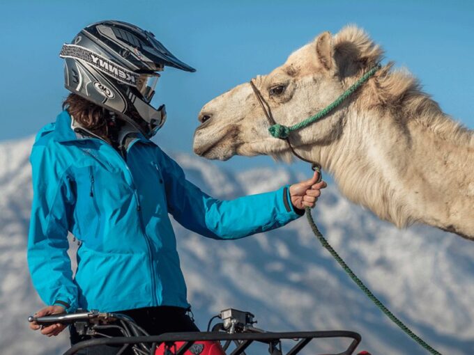 Marrakech Palmeraie : 3-Hour Quad Bike & Camel Ride - Language and Guide Support
