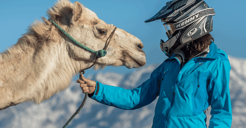 Marrakech Palmeraie : 3 Hours Camel Ride & Quad Bike - Explore the Marrakech Palmeraie