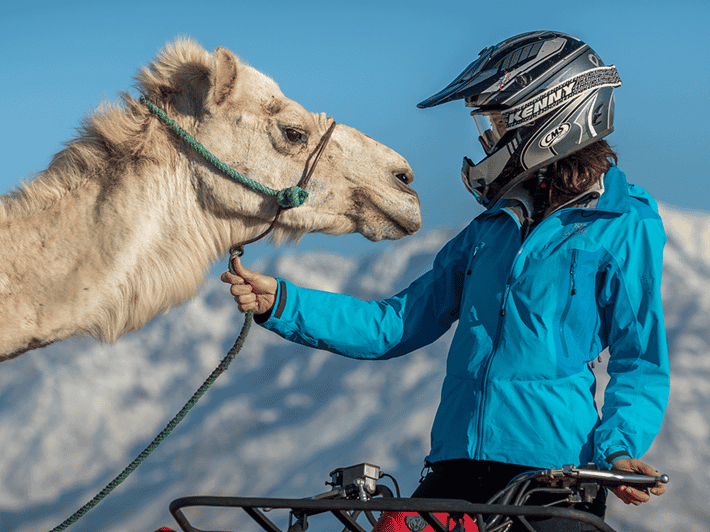 Marrakech Palmeraie : 3 Hours Camel Ride & Quad Bike - Quad Bike Adventure Awaits