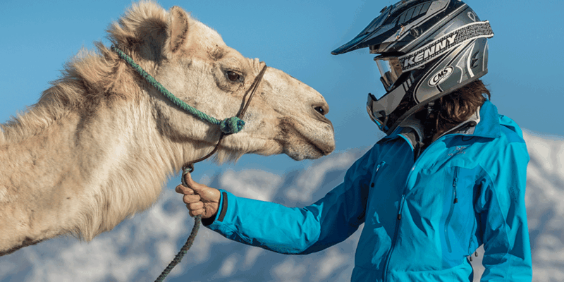 Marrakech Palmeraie : 3 Hours Camel Ride & Quad Bike - Complimentary Moroccan Mint Tea