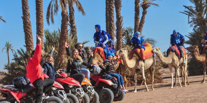 Marrakech Palmeraie : 3 Hours Camel Ride & Quad Bike - Comfortable Transportation and Guidance