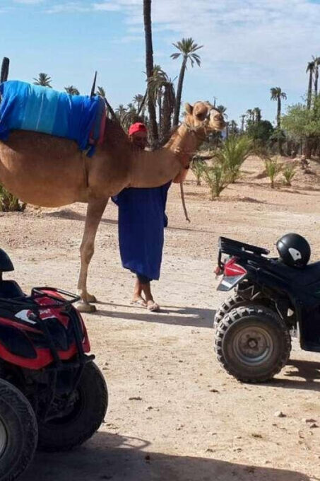 Marrakech Palmeraie : 3 Hours Camel Ride & Quad Bike - Experience Highlights and Inclusions