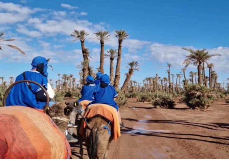 Marrakech: Palmeraie Camel Ride & Traditional Moroccan Spa - Guide and Transportation Quality