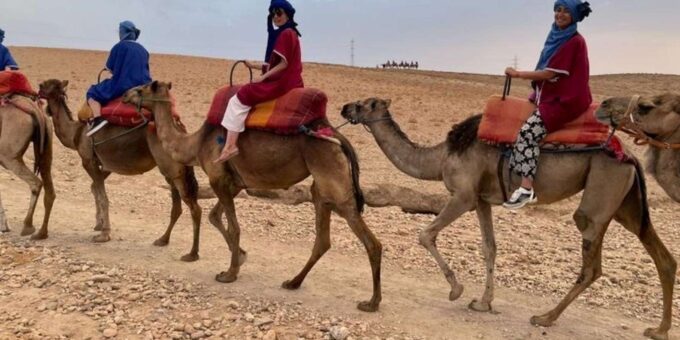 Marrakech: Paragliding in the Atlas Mountains - Important Information
