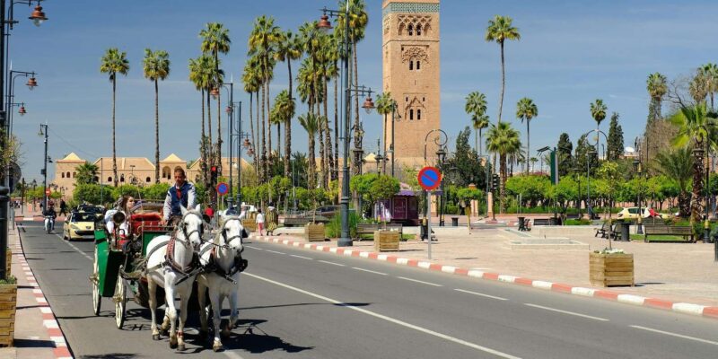 Marrakech - Private 2-Hour Horse-Drawn Carriage Tour - Itinerary Highlights