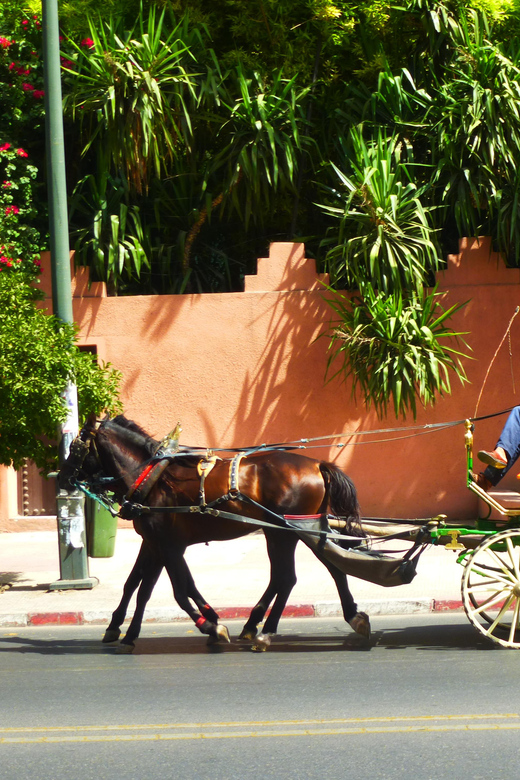 Marrakech - Private 2-Hour Horse-Drawn Carriage Tour - Fragrant Agdal Gardens