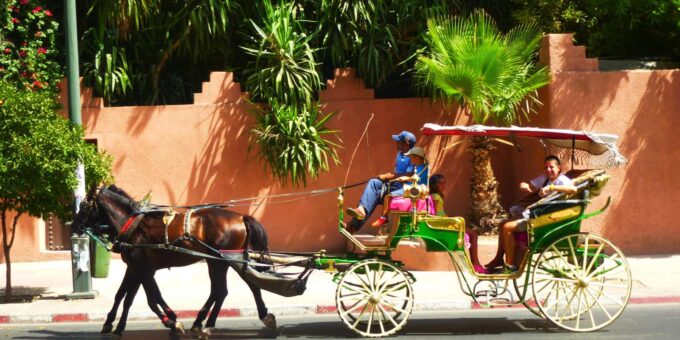 Marrakech - Private 2-Hour Horse-Drawn Carriage Tour - Customer Feedback