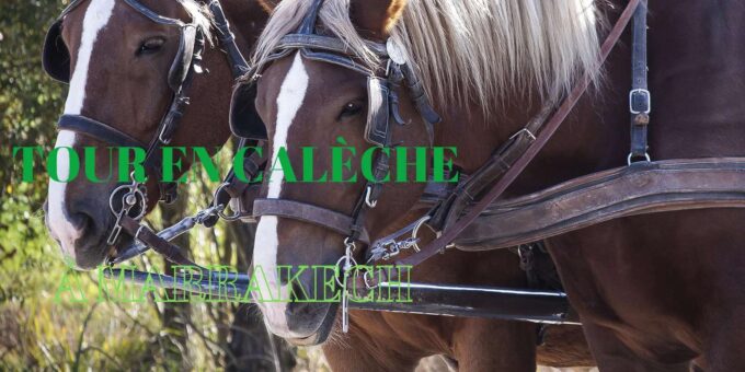 Marrakech - Private 2-Hour Horse-Drawn Carriage Tour - Frequently Asked Questions