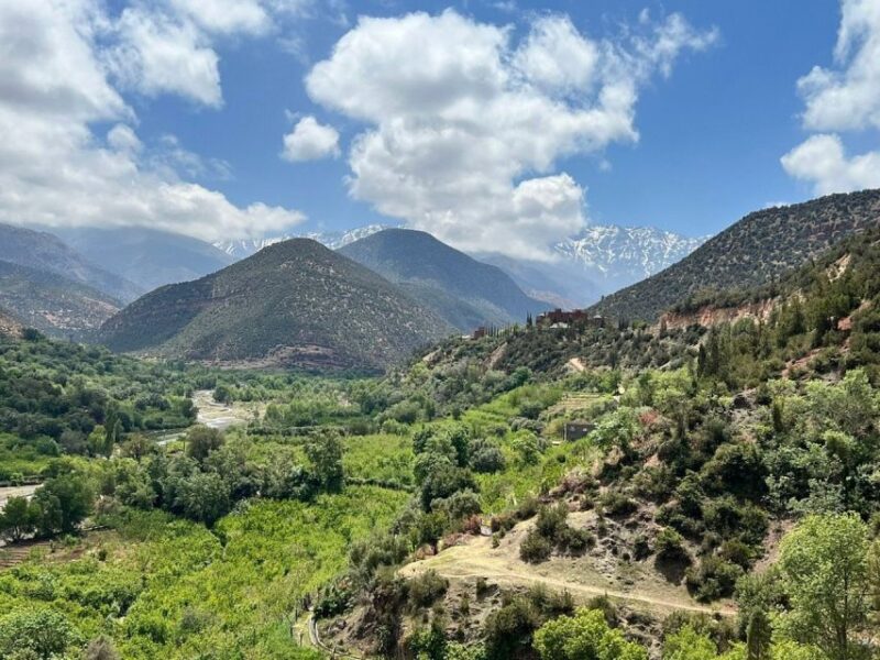 Marrakech: Private Atlas Mountains and Agafay Desert Tour - Traditional Lunch in Imlil