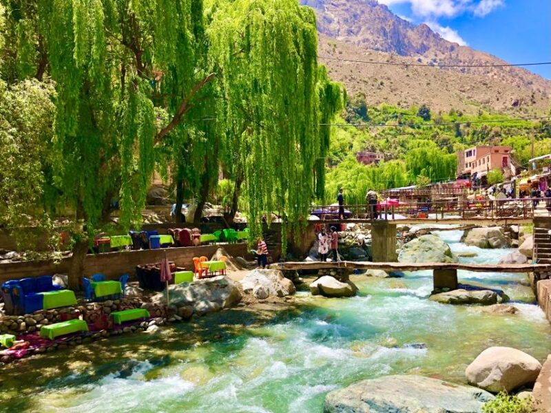 Marrakech: Private Day Trip Desert Agafay & Atlas Mountains - Engaging With Berber Culture