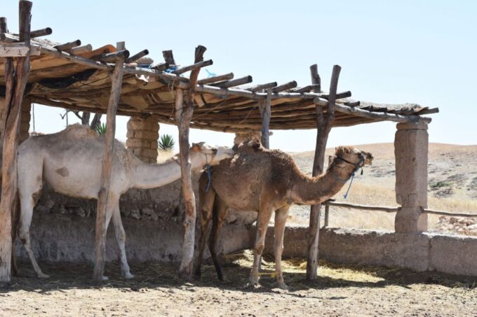 Marrakech: Private Day Trip Desert Agafay & Atlas Mountains - Scenic Photography Opportunities