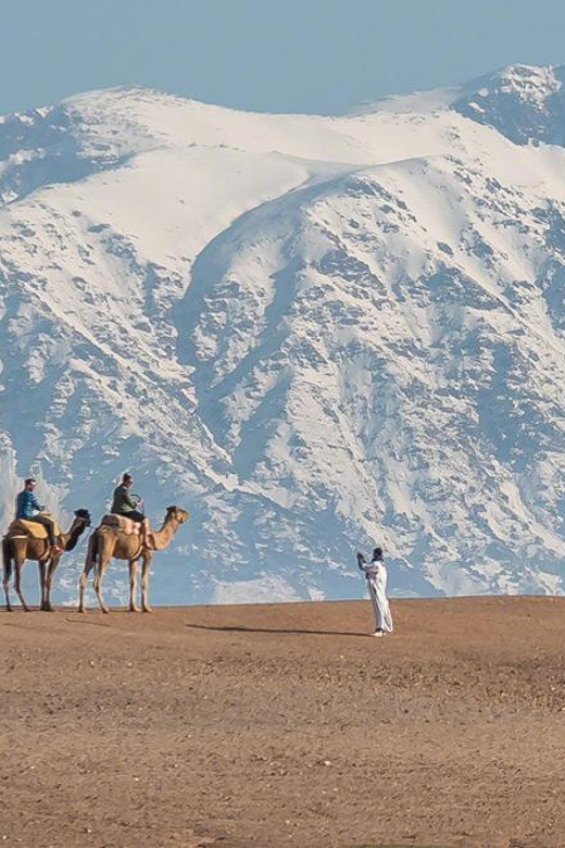 Marrakech: Private Taxi To/From Agafay Desert - Language Options