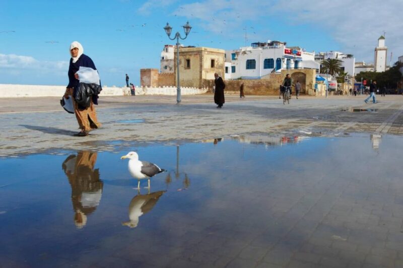 Marrakech: Private Transfer to Essaouira - Professional Driver and Accessibility
