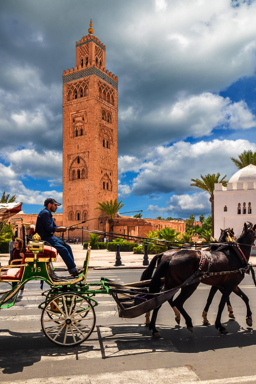 Marrakech : Private Transfer to the Medina ( Jamea Lafna ) - Booking and Cancellation