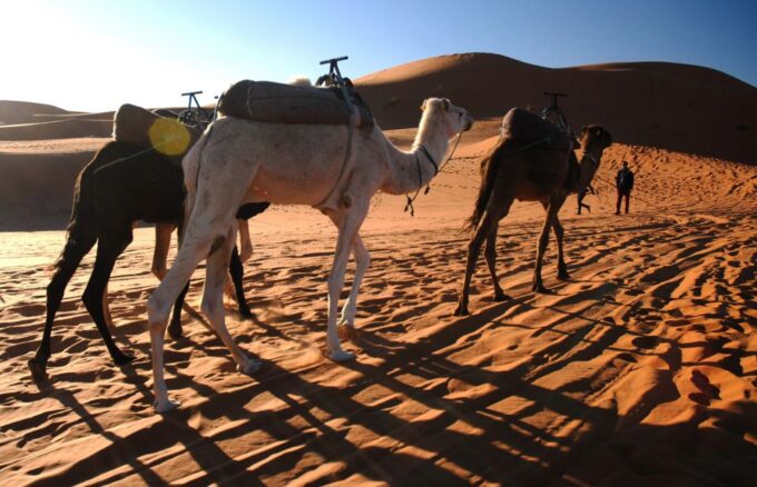 Marrakech: Sahara Desert 3-Day Trip - Participant Requirements
