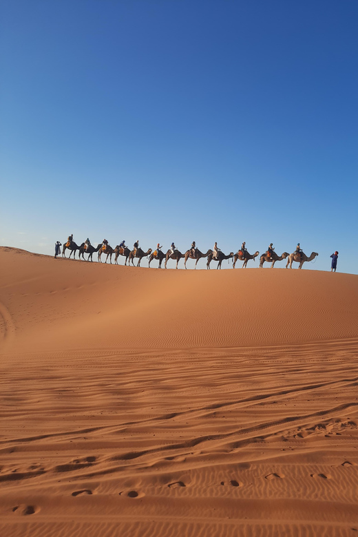 Marrakech to Agadir 4 Days Desert Tour With Camel & Quad ATV - Itinerary Highlights