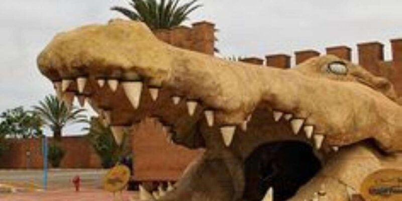 Marrakech to Agadir Day Trip - Good To Know