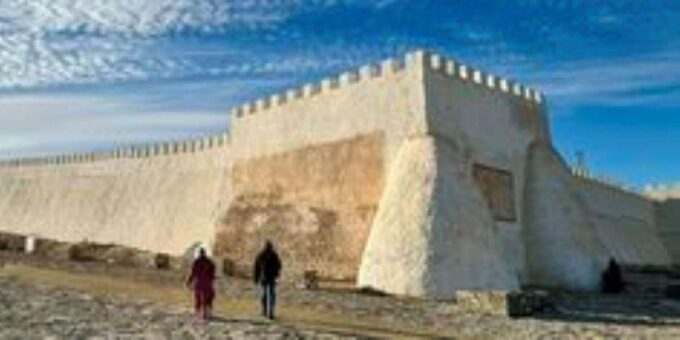 Marrakech to Agadir Day Trip - Accessibility and Assistance