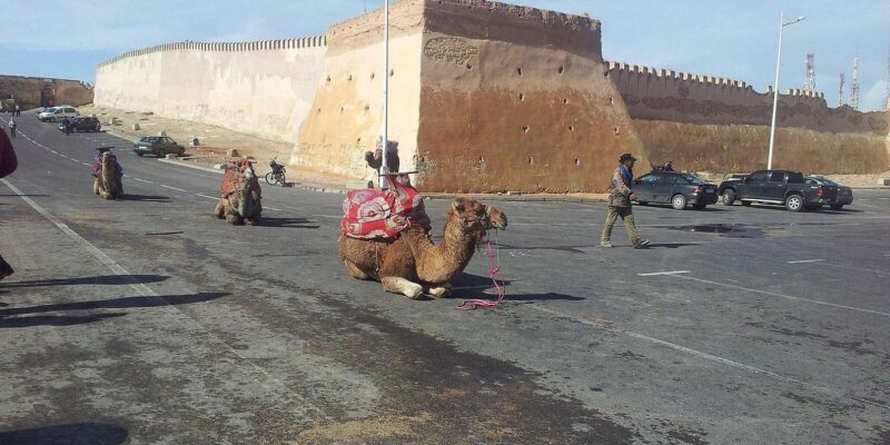 Marrakech to Agadir: Full-Day Tour With Big Kasbah Visit - Itinerary Highlights