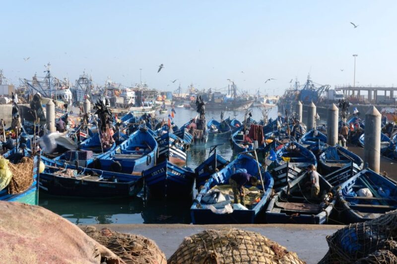 Marrakech To Essaouira Fully Day Tour - Itinerary Highlights