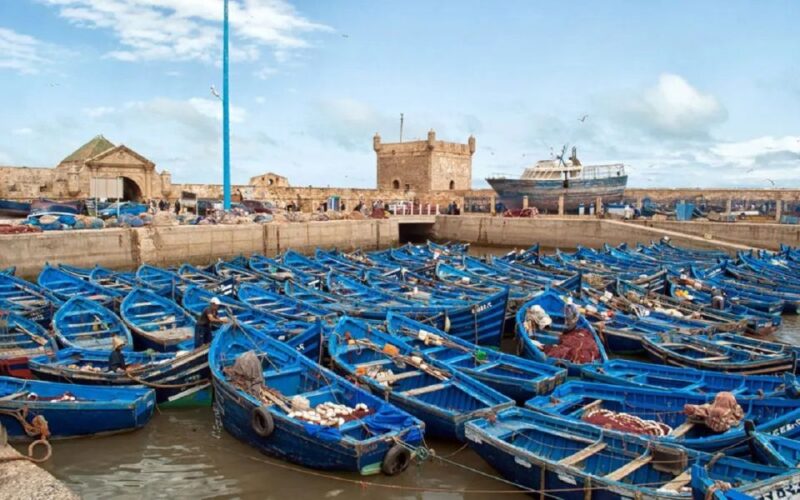 Marrakech To Essaouira Fully Day Tour - Travel Through Countryside