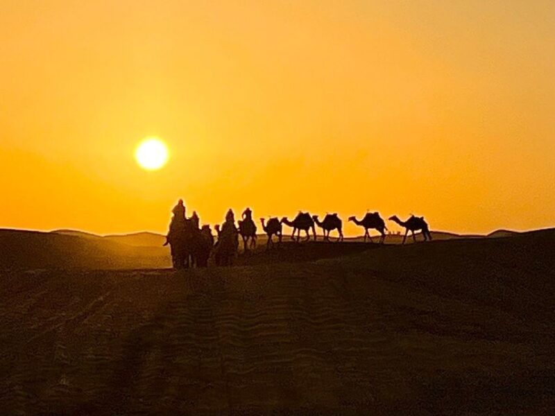 Marrakech to Fez via Merzouga Desert 3-Days Sahara Tour - Good To Know