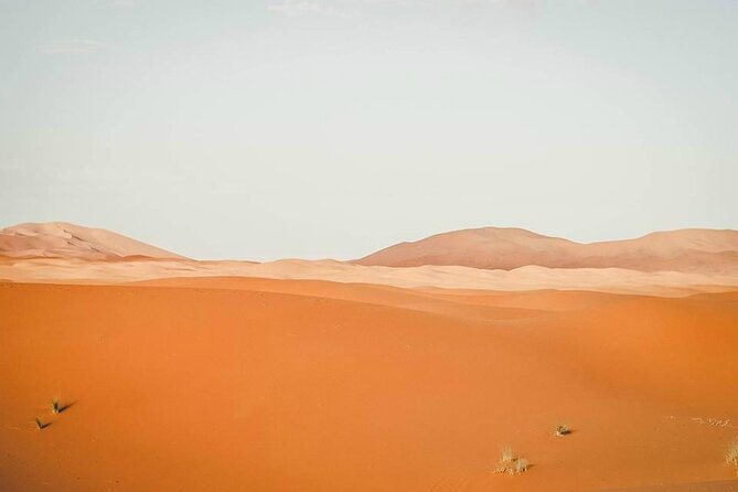 Marrakech to Merzouga 3 Day Desert Safari - Cost and Booking Information