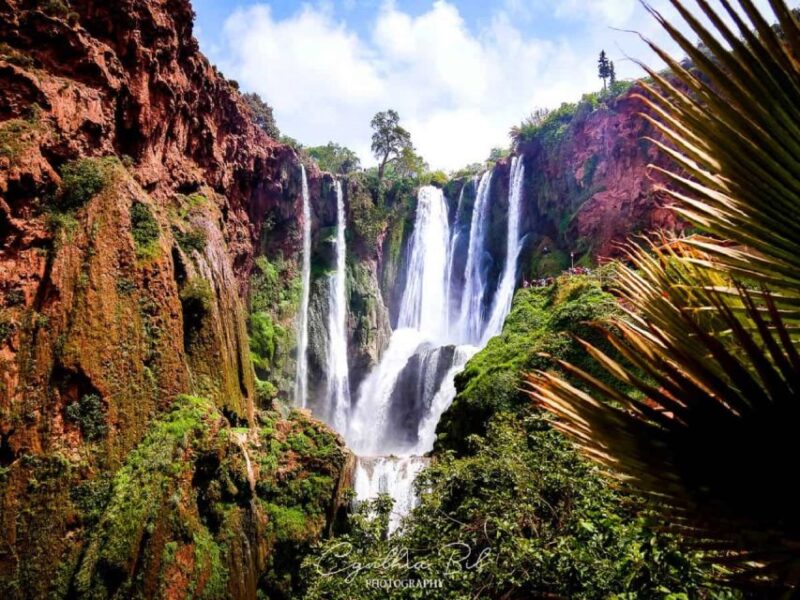 Marrakech To Ouzoud Waterfalls All Exclusive Day Trip - Captivating Views of the Majestic Waterfalls