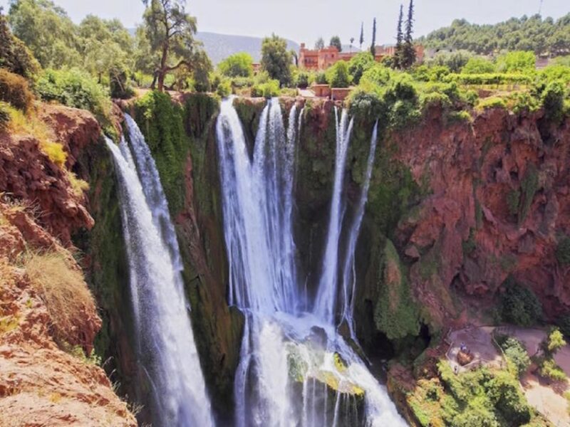 Marrakech To Ouzoud Waterfalls All Exclusive Day Trip - Discovering the Local Monkeys and Wildlife