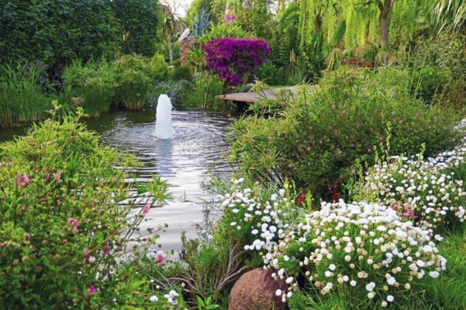 Marrakech: Visit Anima Garden & Atlas Mountains Day Tour - Traveler Feedback and Highlights