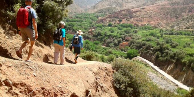 Marrakech Winged Wonders:Exploring the Atlas With Binoculars - Packing for the Adventure