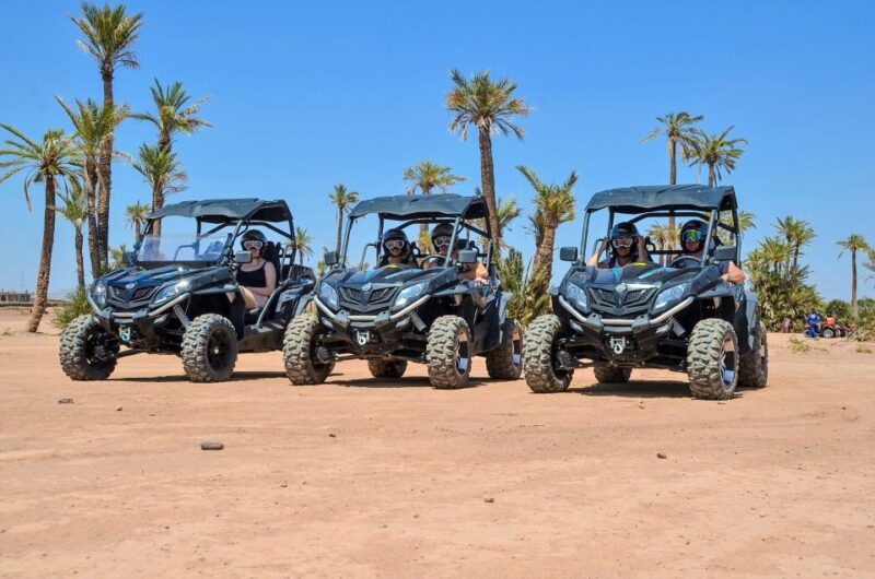 Marrakech:Activities Quad Bik/Buggy/Camel at the Palm Grove - Itinerary Details