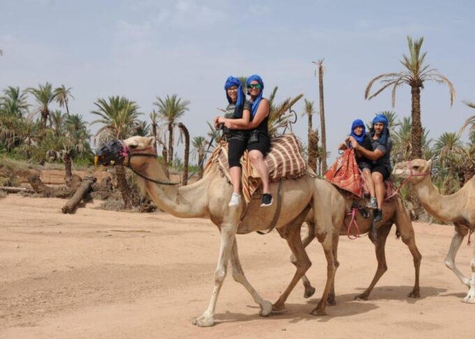 Marrakech:Activities Quad Bik/Buggy/Camel at the Palm Grove - Contact Information