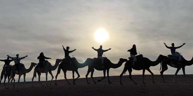 Marrakech:Explore Desert Agafay Camel&Quad With Dinner&Show - Good To Know