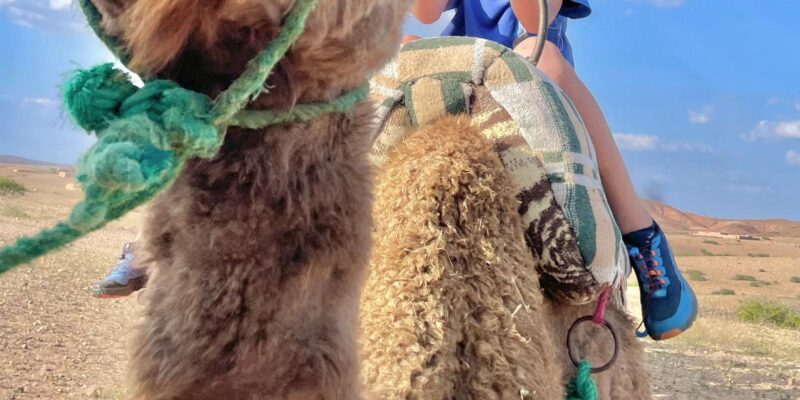 Marrakech:Explore Desert Agafay Camel&Quad With Dinner&Show - Thrilling Quad Biking Adventure