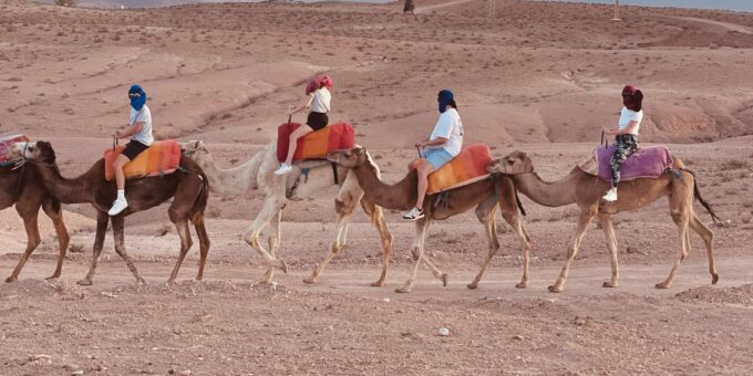 Marrakech:Explore Desert Agafay Camel&Quad With Dinner&Show - Guests Unforgettable Experiences