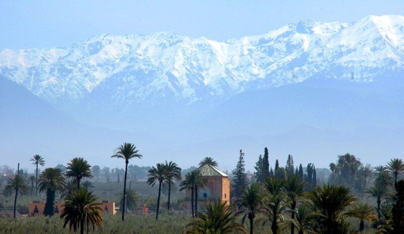 Marrakesh: A Yoga & Detox Day in Vibrant Marrakesh - Good To Know