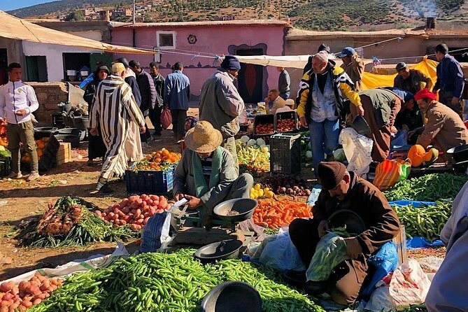 Marrakesh: Agafay Desert and Atlas Mountains & Waterfalls Tour - Customer Experiences