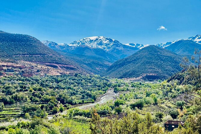 Marrakesh: Agafay Desert and Atlas Mountains & Waterfalls Tour - Trekking the Atlas Mountains