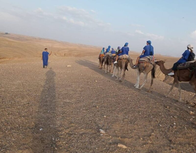 Marrakesh: Agafay Desert Camel Ride and ATV Tour - ATV Desert Adventure