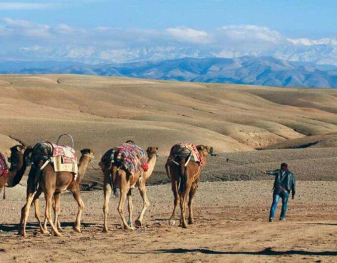 Marrakesh: Agafay Desert Camel Ride and ATV Tour - Refreshment and Local Customs