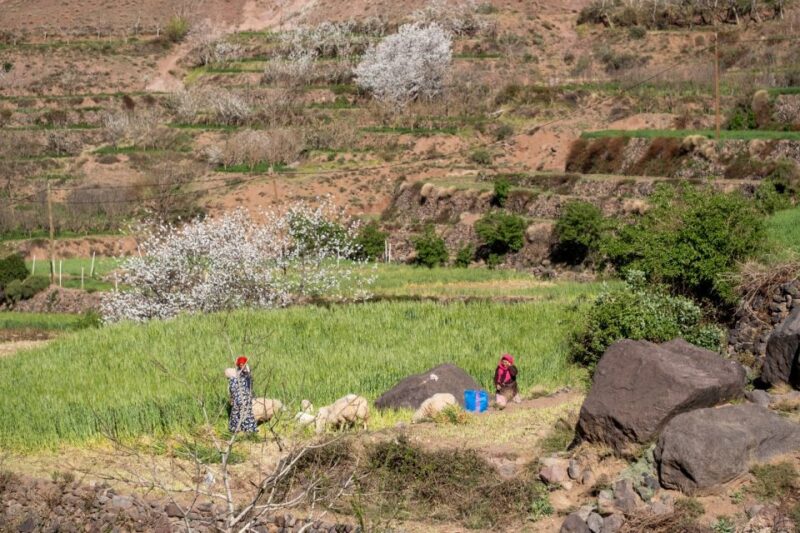 Marrakesh: Berber Villages, Atlas & Green Valleys 4-Day Trek - Daily Itinerary