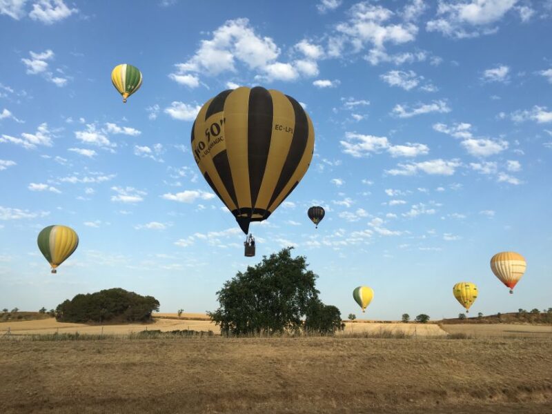 Marrakesh: Early Morning 40-Minute Balloon Flight - Customer Reviews and Ratings