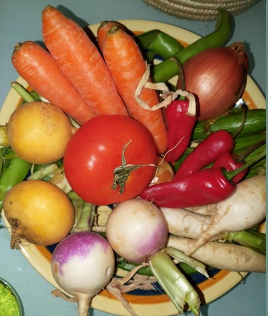 Marrakesh: Home Hosted Couscous Cooking Workshop and Lunch - Booking and Important Considerations
