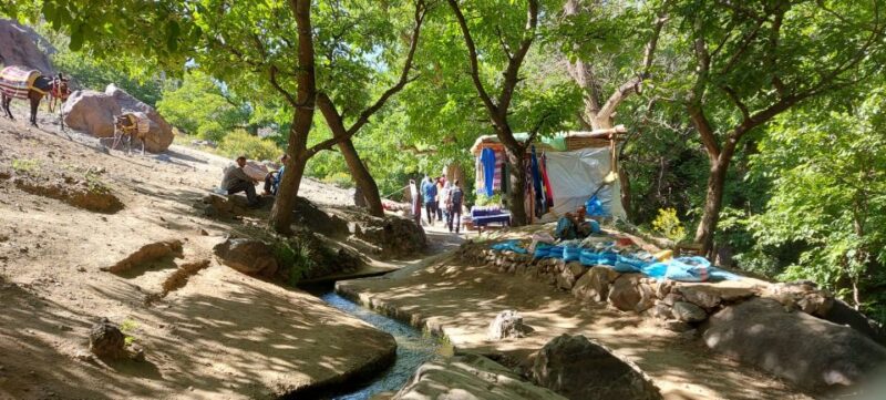 Marrakesh: Mule Ride, Kik Plateau and Imlil Guided Day Trip - Guided Walking Tour in Imlil